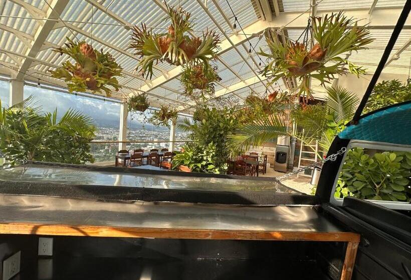 Ginos Dushi Secret For 8 People