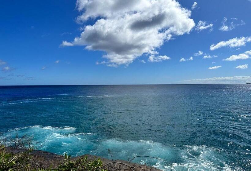 Waikiki Banyan Pool Free Parking Free Wi Fi One Br