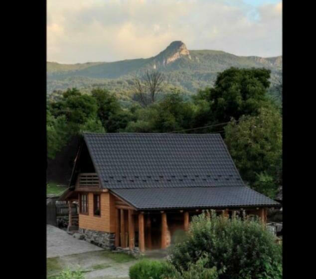 펜션 Casa De Lemn Maramures