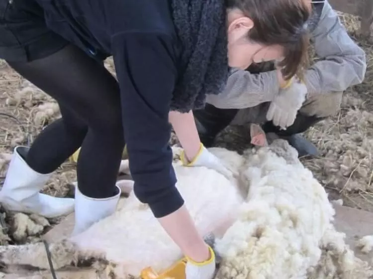 ベッドアンドブレックファースト Yorkshire Farm