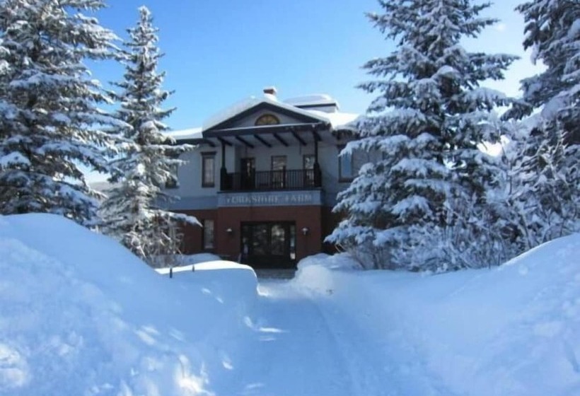 Bed and Breakfast Yorkshire Farm