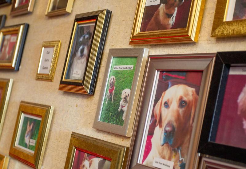 בית מלון כפרי Bagden Hall