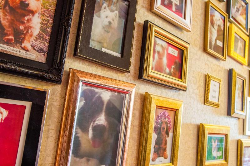 בית מלון כפרי Bagden Hall