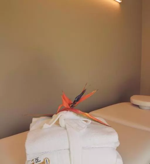 هتل Diana Jardin Et Spa