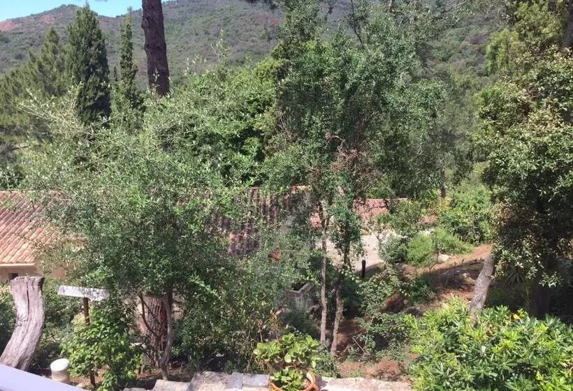ホテル Le Domaine De L Oriu