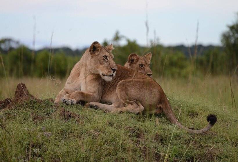 هتل Mukambi Safari Lodge