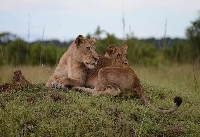هتل Mukambi Safari Lodge