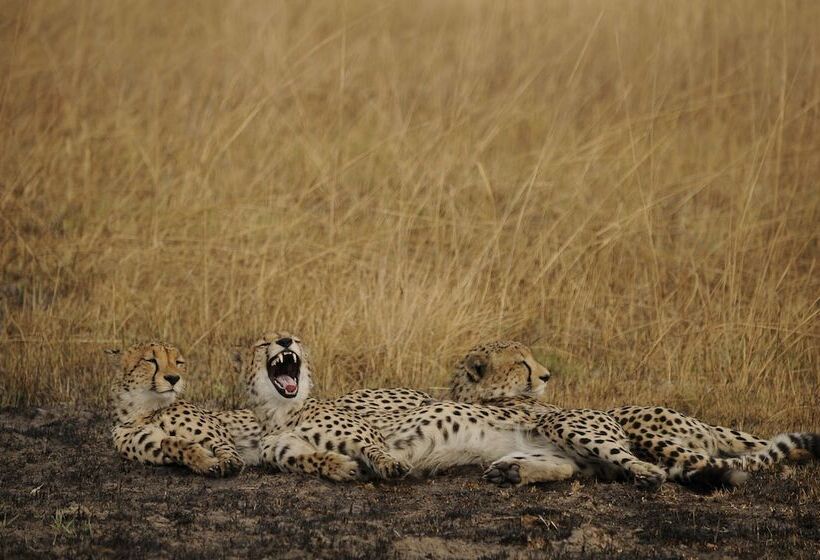 هتل Mukambi Safari Lodge