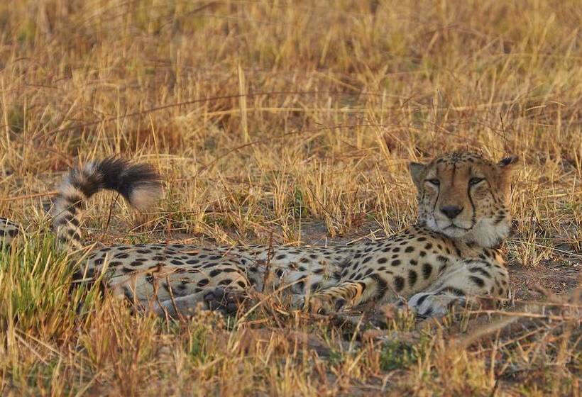 هتل Mukambi Safari Lodge