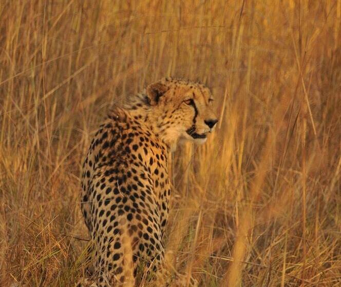 هتل Mukambi Safari Lodge