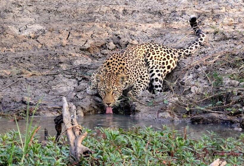 هتل Mukambi Safari Lodge