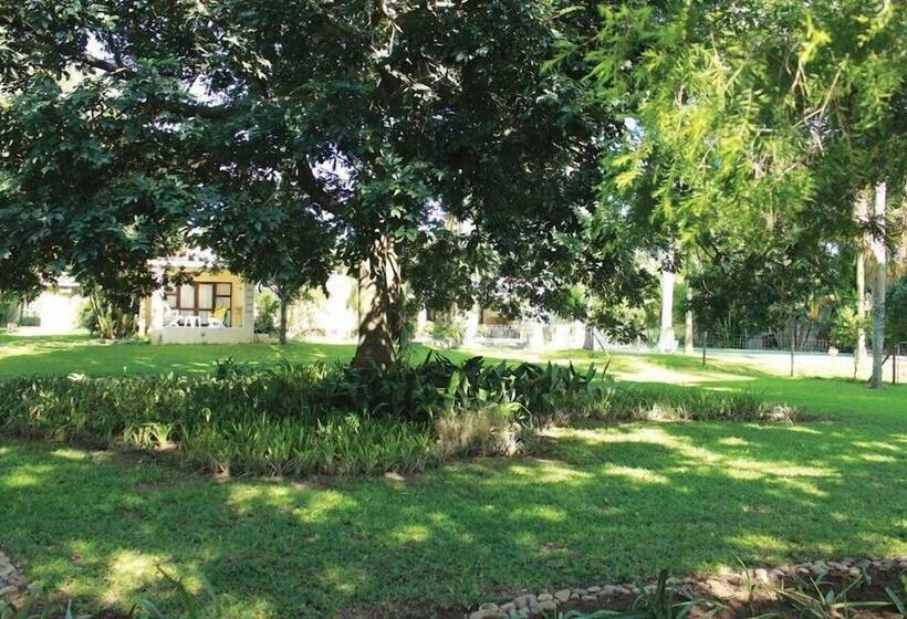 بنسيون The Guest House Pongola