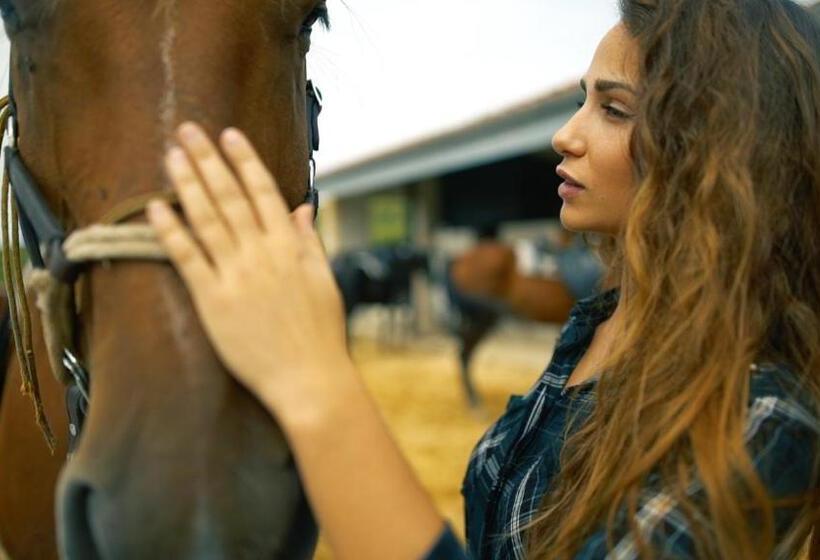 צימר Suites Niditas