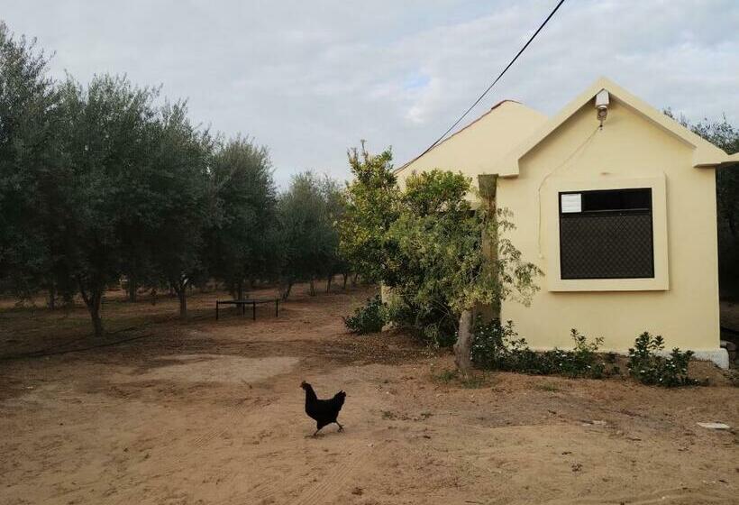 ペンション Thar Olive Cottages Pilani