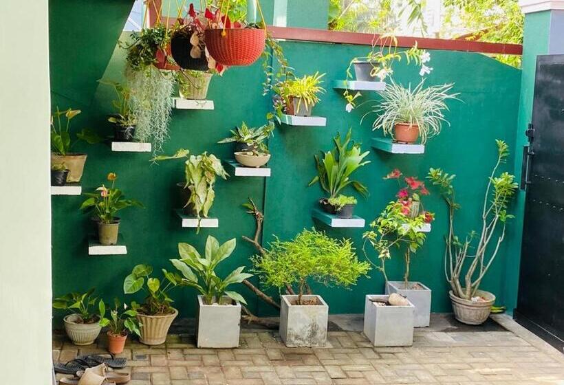 Antonio Transit Katunayake