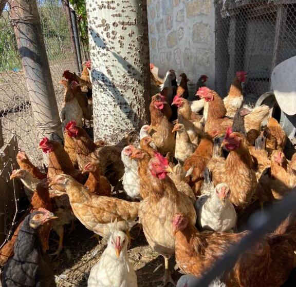 Bed and Breakfast Nor Takh