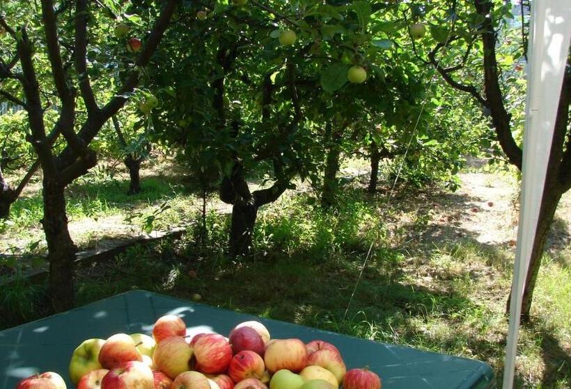 پانسیون Vila Maria Eca