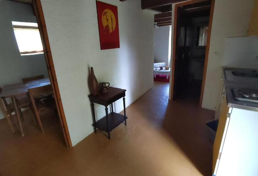 هاستل Bienvenue En Transition   Dortoir Partagé 52 Carcasse