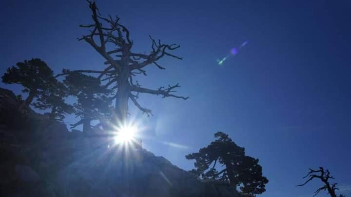 Bed And Breakfasts La Casetta