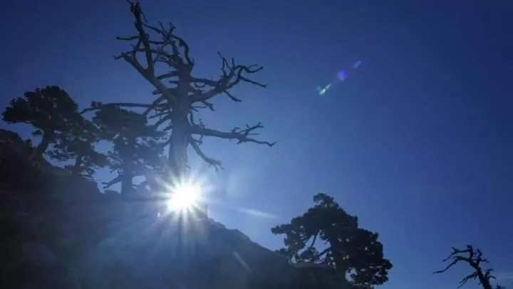 Bed And Breakfasts La Casetta