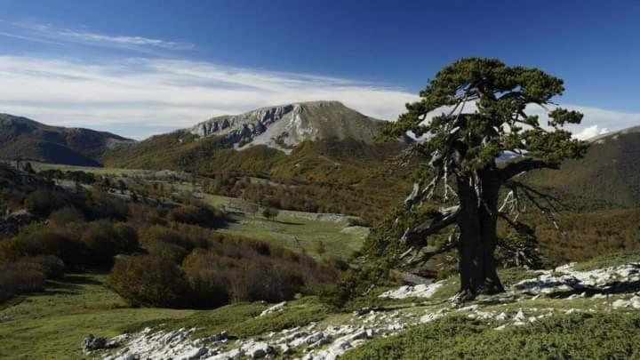 Bed And Breakfasts La Casetta