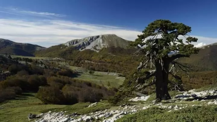 Bed And Breakfasts La Casetta