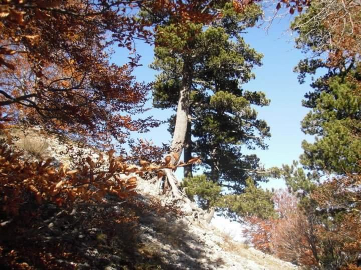 Bed And Breakfasts La Casetta