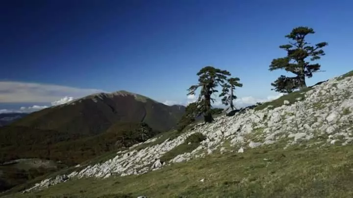 Bed And Breakfasts La Casetta