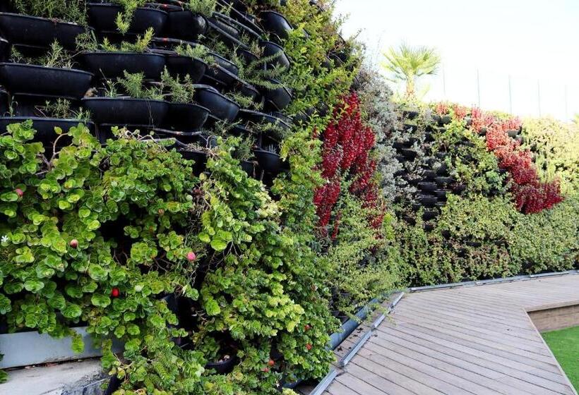 Sea Side Apartments Eilat   דירות נופש באילת עם בריכה