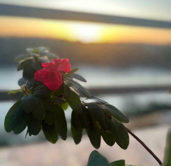 הוסטל Avista Al Rio