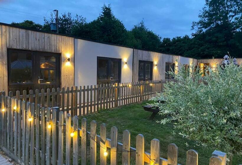 旅馆 Shenstone Lodge