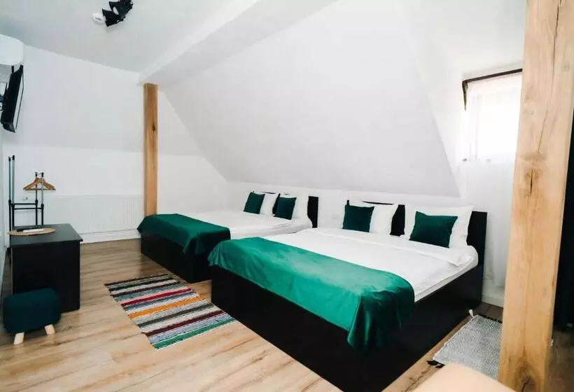 Aamiaismajoitus (B&B) Pensiunea Tara Codrului
