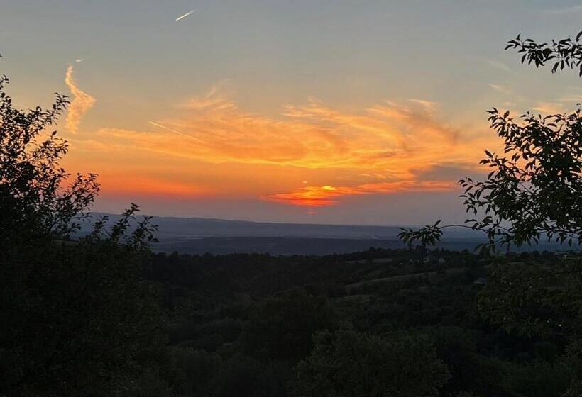 בית מלון כפרי Agropensiunea La Gradina