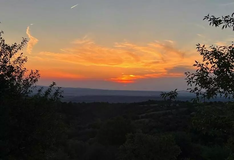 Hotelli Agropensiunea La Gradina