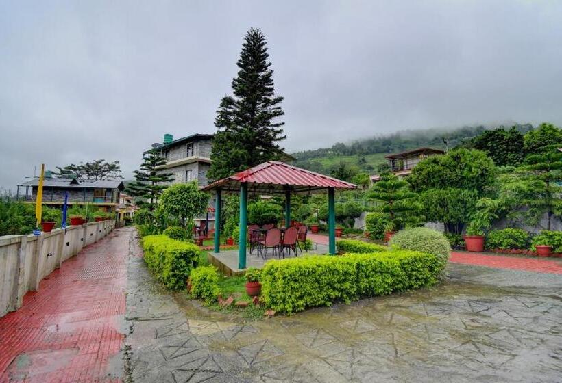 Hotel Collection O Paradise Oak Tree