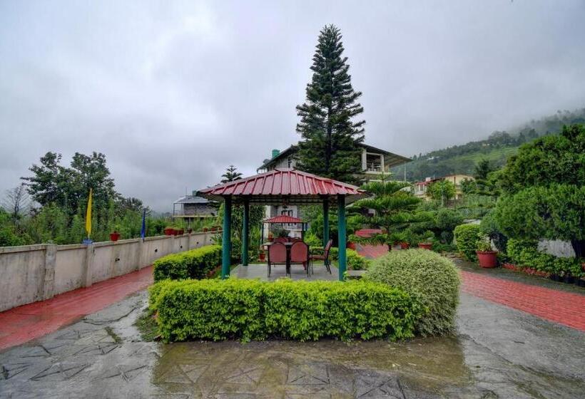 Hotel Collection O Paradise Oak Tree