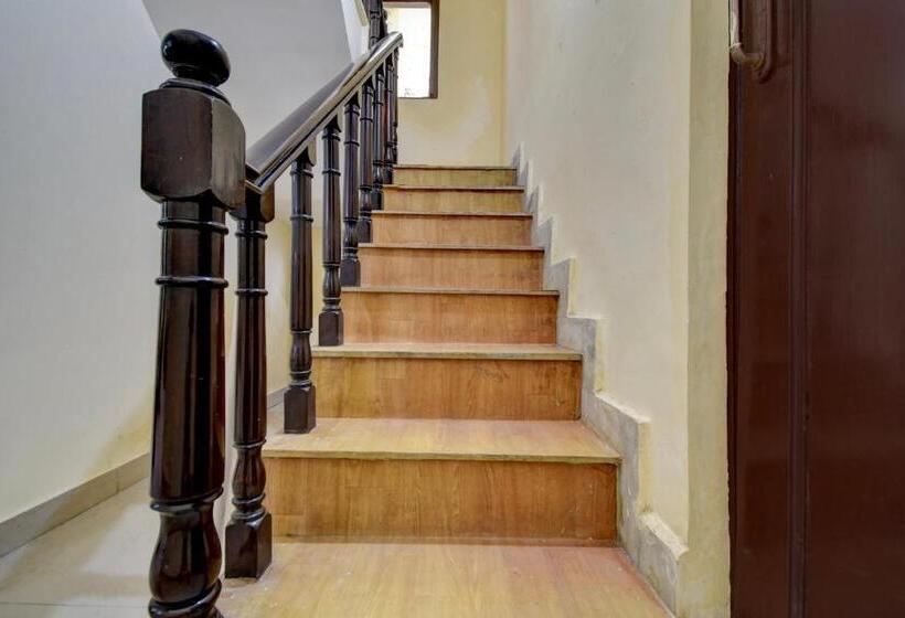 Hotel Collection O Paradise Oak Tree