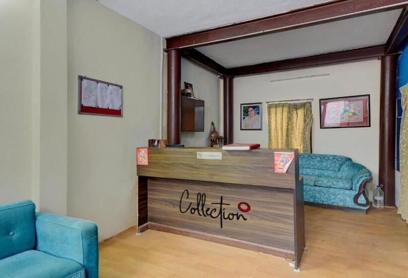 Hotel Collection O Paradise Oak Tree