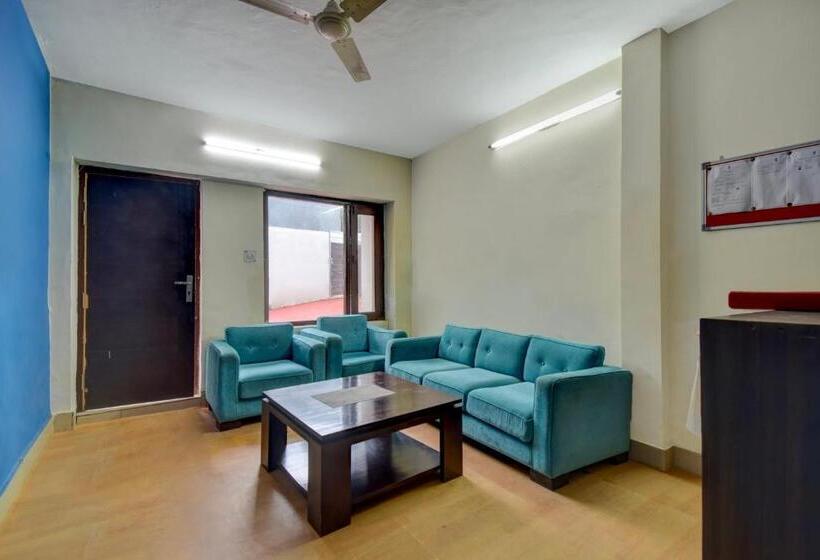 Hotel Collection O Paradise Oak Tree