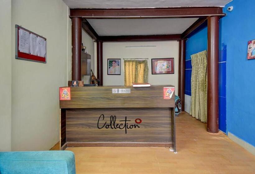 Hotel Collection O Paradise Oak Tree