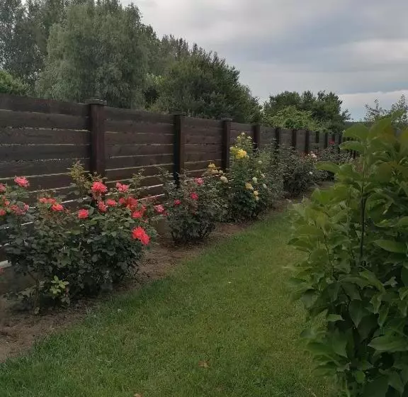 پانسیون Casa Carp Calarasi