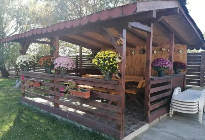 پانسیون Casa Carp Calarasi