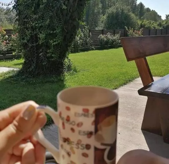 پانسیون Casa Carp Calarasi