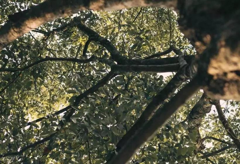 ホテル Soultosoul Guesthouse