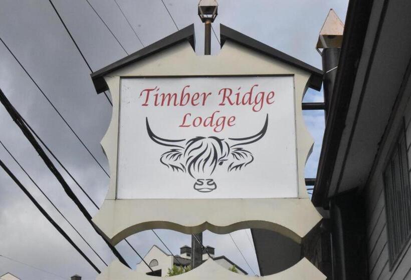 Отель Timber Ridge Lodge Gatlinburg