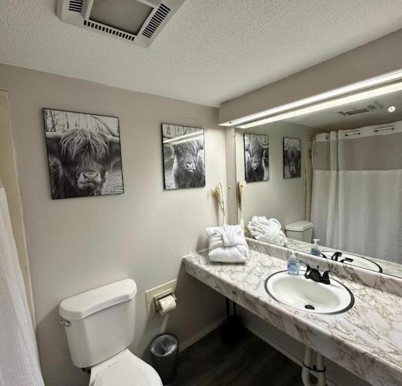 Отель Timber Ridge Lodge Gatlinburg