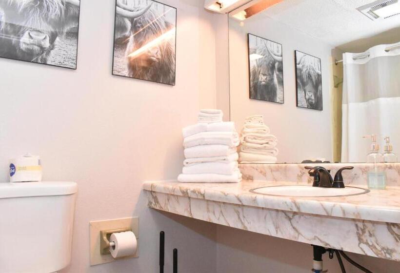 Отель Timber Ridge Lodge Gatlinburg