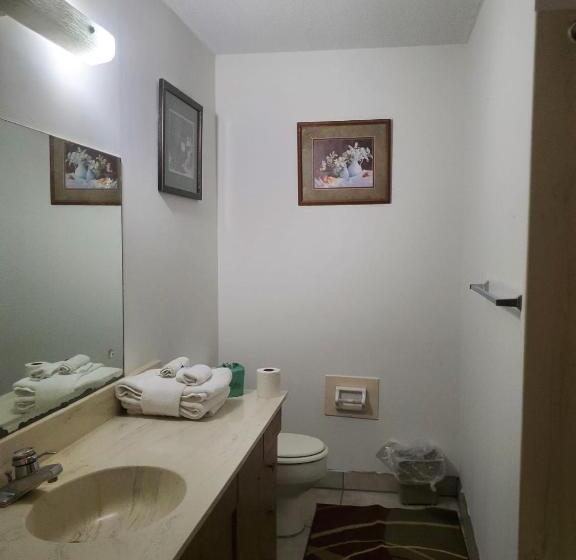 Отель Timber Ridge Lodge Gatlinburg