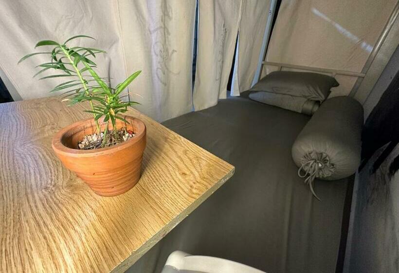 هاستل Home Tea An Yên Dorm