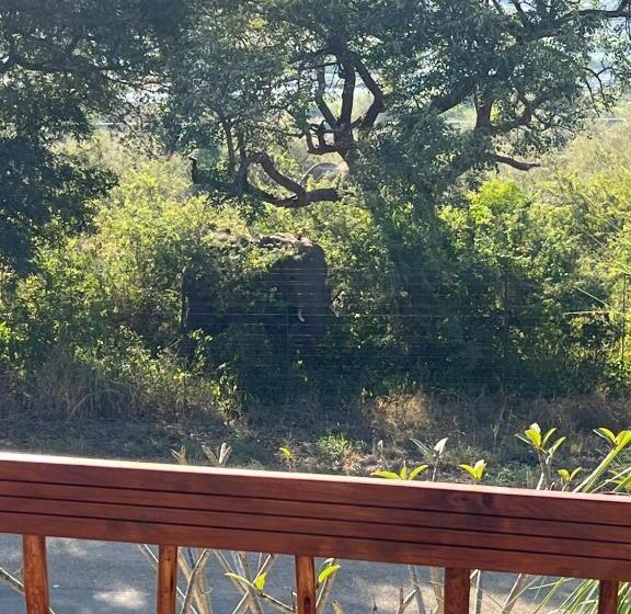 צימר Kruger Allo Escape